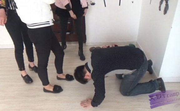 【网盘】多主踢打舔鞋精彩不断