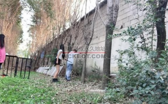 【网盘】JS23101520