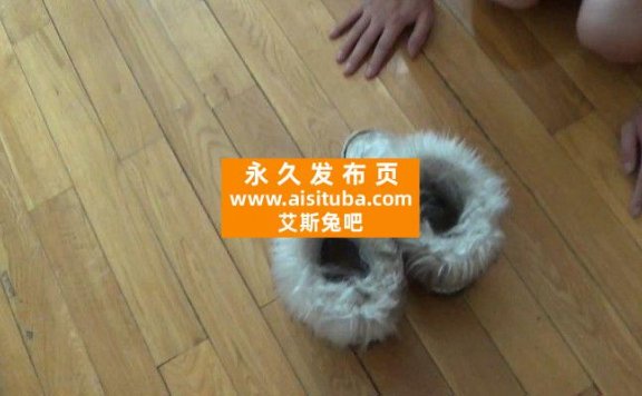 【网盘】休闲玩脚奴犬化调教