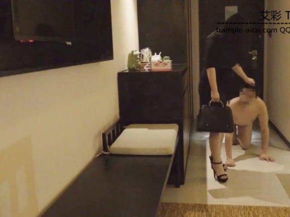 【网盘】小刚流浪记第10集 变成了深圳贵族公主的狗 上集