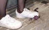 资讯|crush 素人空军匡威帆布鞋踩牛蛙，龟，鱼 [8分16秒]