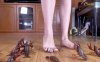 资讯|crush 1394 – 女王蓝色指甲裸足踩喷一堆龙虾 [9分14秒]