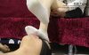 资讯|女王女主 脱掉靴子强迫奴隶闻臭袜子 [17分26秒]