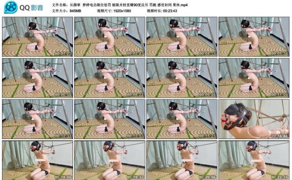 【网盘】【长颜草】梦婷电击限位惩罚