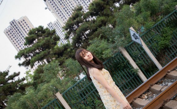 资讯|ISS山茶摄影205-64P