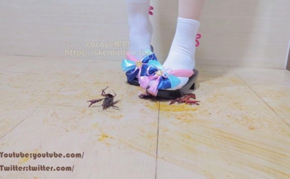 资讯|crush C3082 – 椰奶白袜木屐踩喷龙虾 [9分14秒]