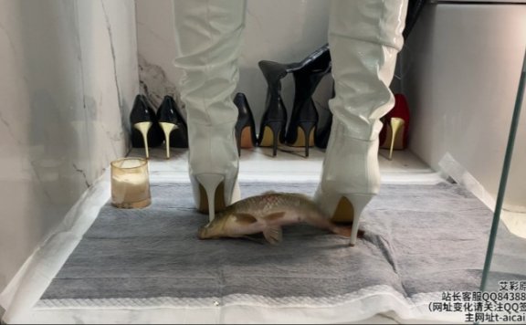 资讯|crush 《凝霜》白靴跟沾盐在鱼肚里搅动 [23分37秒]