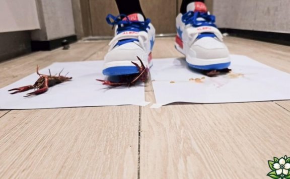 资讯|crush C3050 – 茉莉厚黑丝运动鞋踩射龙虾 [9分14秒]