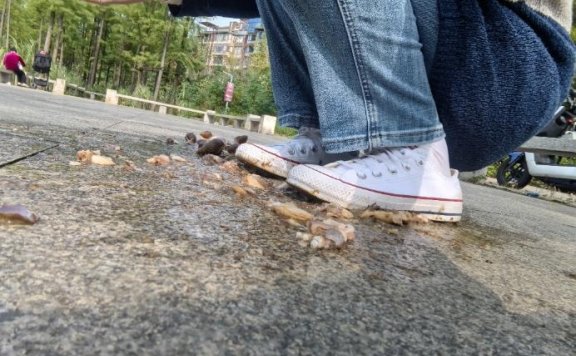 资讯|crush 南瓜汤匡威暴踩蜗牛 [22分54秒]