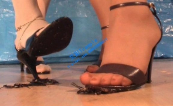 资讯|crush 害虫駆除α⑦α7 two girls 肉丝凉鞋下炸裂的害虫 [37分52秒]