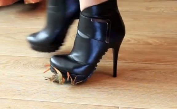 资讯|crush 1379 – 性感锯齿鞋底高跟皮靴榨踩射龙虾 [9分14秒]