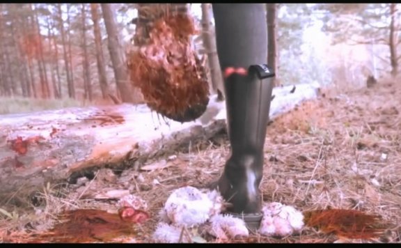 资讯|crush HELGA LI – 二次元少女伪血腥践踏 [21分24秒]