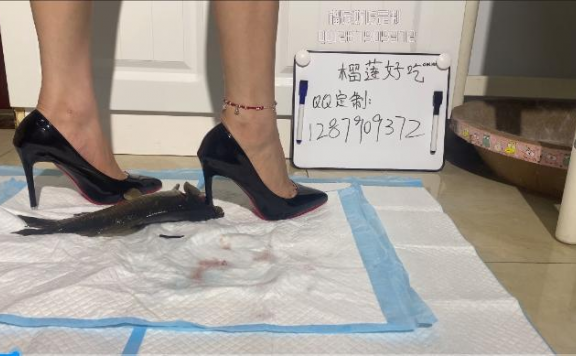 资讯|crush 《榴莲好吃》红底黑高粉碎大鲫鱼《4K画质》 14分钟 [13分2秒]