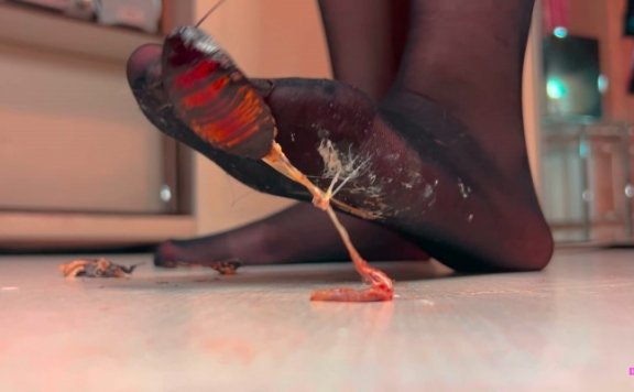 资讯|crush Claire超爽黑丝大片女主大虫子喷汁足底护肤 [10分24秒]