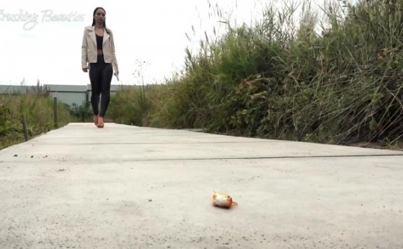 资讯|crush 1235 – 女王皮裤高跟凉鞋无意识踩爆蜗牛鱼 [37分52秒]