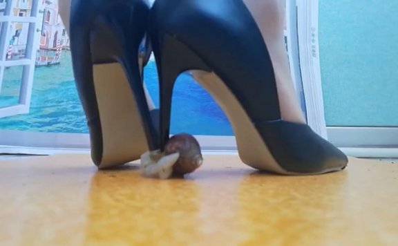 资讯|crush C2465 – 肉丝高跟踩扁大蜗牛 [22分54秒]