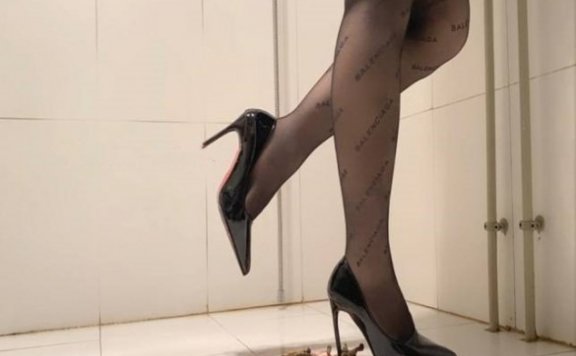 资讯|crush 《小初原创》黑丝高跟暴力踩乌龟 [10分31秒]