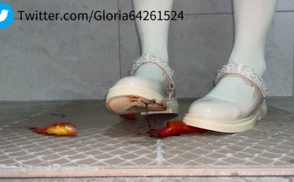 资讯|crush 白丝小皮鞋制作金鱼酱 [8分14秒]