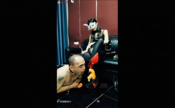 资讯|女王女主 《婉儿原创》性感红色高跟踩烂橙子喂食黑丝重度踢裆踩踏 [48分56秒]