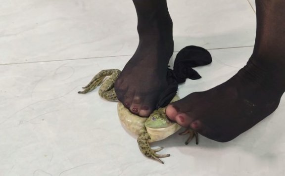 资讯|crush C2175 – 安然露脸黑丝玉足踩大牛蛙深喉抽插 [19分35秒]