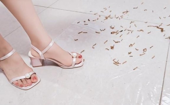 资讯|crush 舞蹈教师仙宁将不听话的学生和家长变成面包虫踩死（全程羞辱） [14分25秒]