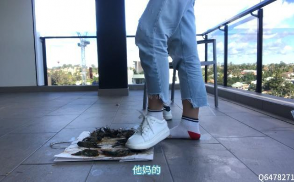 资讯|crush 都是你的错，受死吧！ [9分14秒]