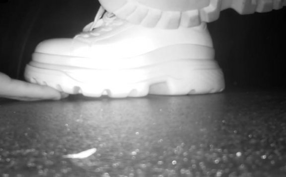 资讯|crush 《无意识紫杨》2021.9月电影院白色运动鞋无意识踩手 [23分37秒]