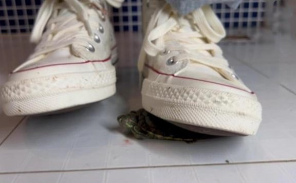 资讯|crush 萌棠主宽松牛仔裤 高帮匡威暴虐龟龟 [10分31秒]