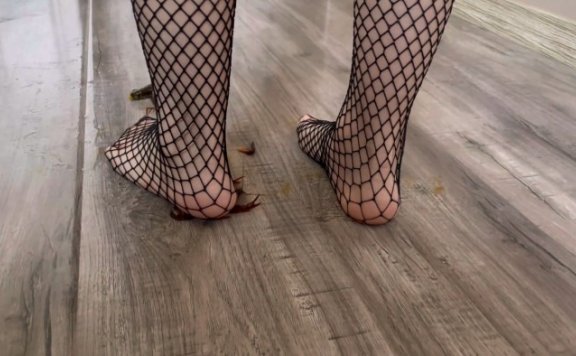 资讯|crush 莎莎黑色网袜踩龙虾 [9分14秒]