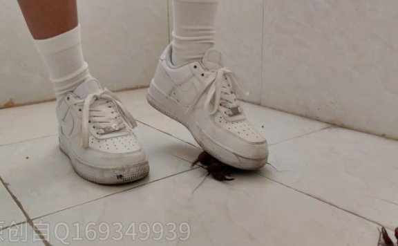 资讯|crush 空军一号爆踩小龙虾 [9分14秒]