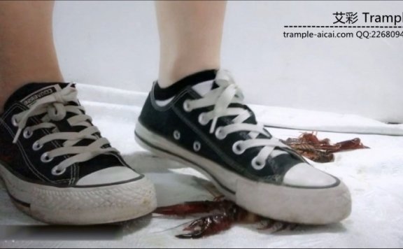 资讯|crush 小女生可爱帆布鞋踩群龙虾 [9分14秒]