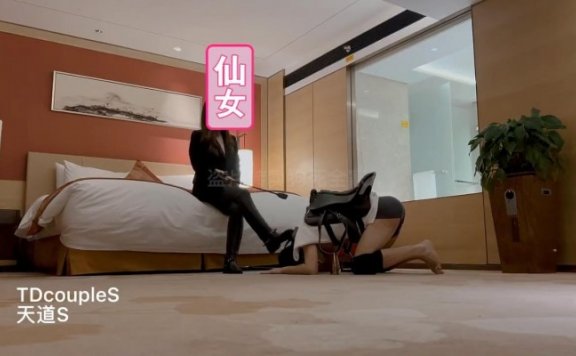 资讯|直播视频 《天道S》骑马调教 [17分1秒]