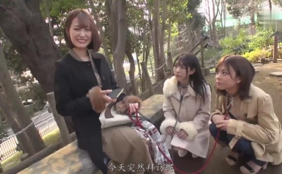 资讯|日韩调教 《汉化》美女母狗们被辣妹饲养采访实录 [35分22秒]