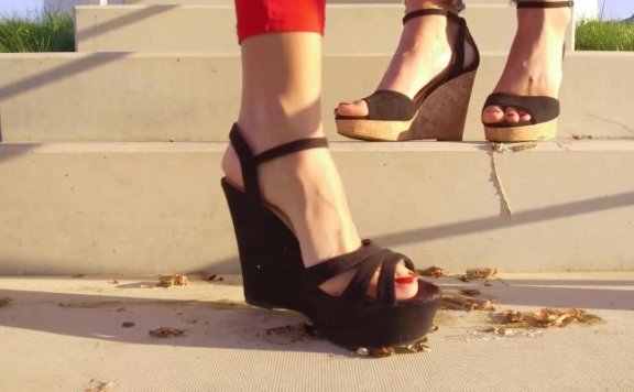 资讯|crush 804 – 双女王性感高跟凉鞋踩烂蟑螂蝗虫 [37分52秒]