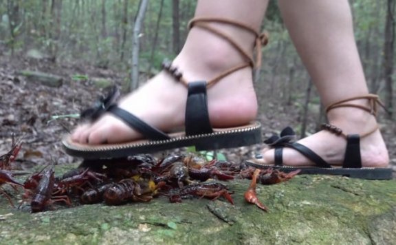 资讯|crush C1168 – 性感凉鞋野外踩射一堆龙虾 [37分52秒]