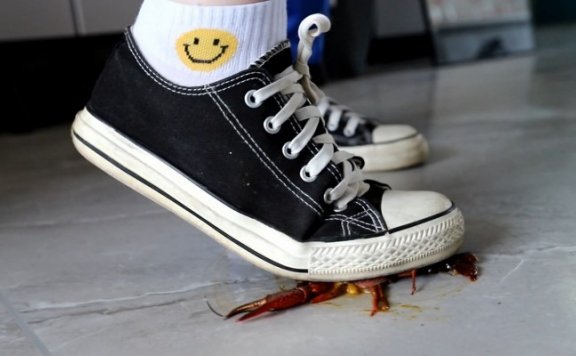 资讯|crush 萌妹桃桃帆布鞋踩射小龙虾 [9分14秒]