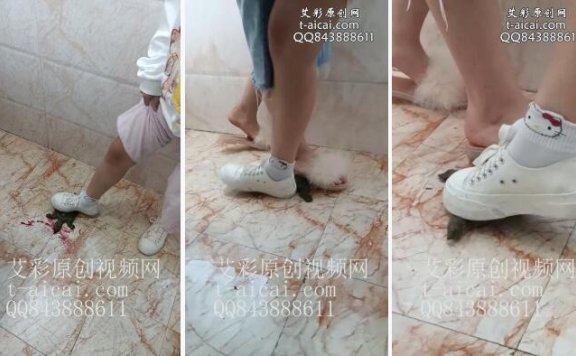 资讯|crush 《小婷原创》和闺蜜一起踩甲鱼 [6分3秒]