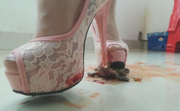 资讯|crush 芷君清纯白裙鱼嘴高跟踩大龟（完整版语言丰富） [48分56秒]