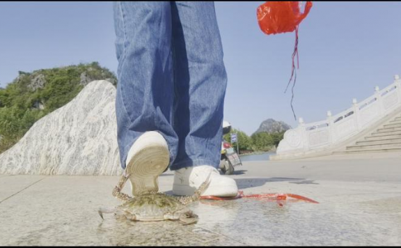 资讯|crush 南瓜汤空军踩螃蟹 [10分31秒]