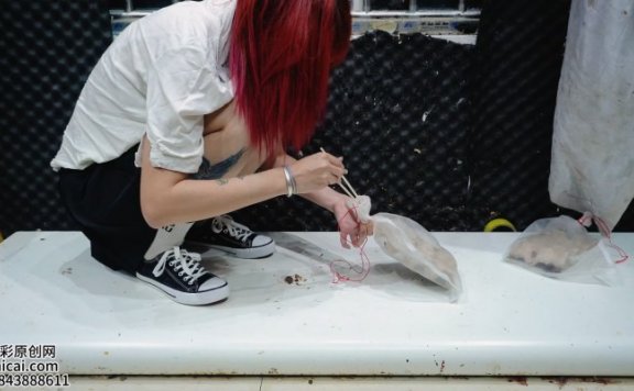 资讯|crush 蟑螂 黑色帆布鞋 4K高清 [13分12秒]