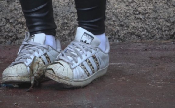 资讯|crush Silvia-漂亮女孩踩螃蟹 [12分20秒]