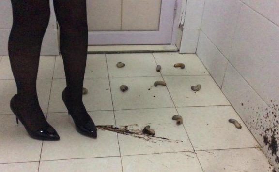 资讯|crush 萌棠工作室i 棠主黑丝高跟爆浆肉虫 语言侮辱 [10分24秒]