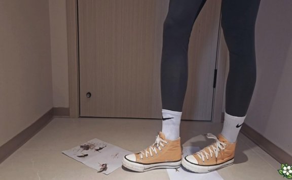 资讯|crush C2697 – 棉袜帆布鞋踩小鱼 [23分37秒]