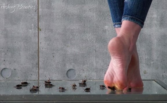 资讯|crush 1159 – 女王牛仔裤裸足踩烂蟋蟀 [10分14秒]