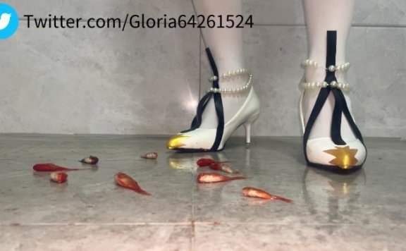 资讯|crush cosplay星极高跟鞋踩金鱼 [8分14秒]