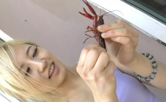 资讯|crush 《冰时代》黑冰女神 肉丝碾死 针扎 激光酷刑折磨死忤逆的小龙虾 [9分14秒]